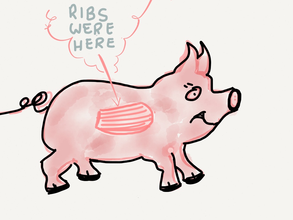 pig_ribs