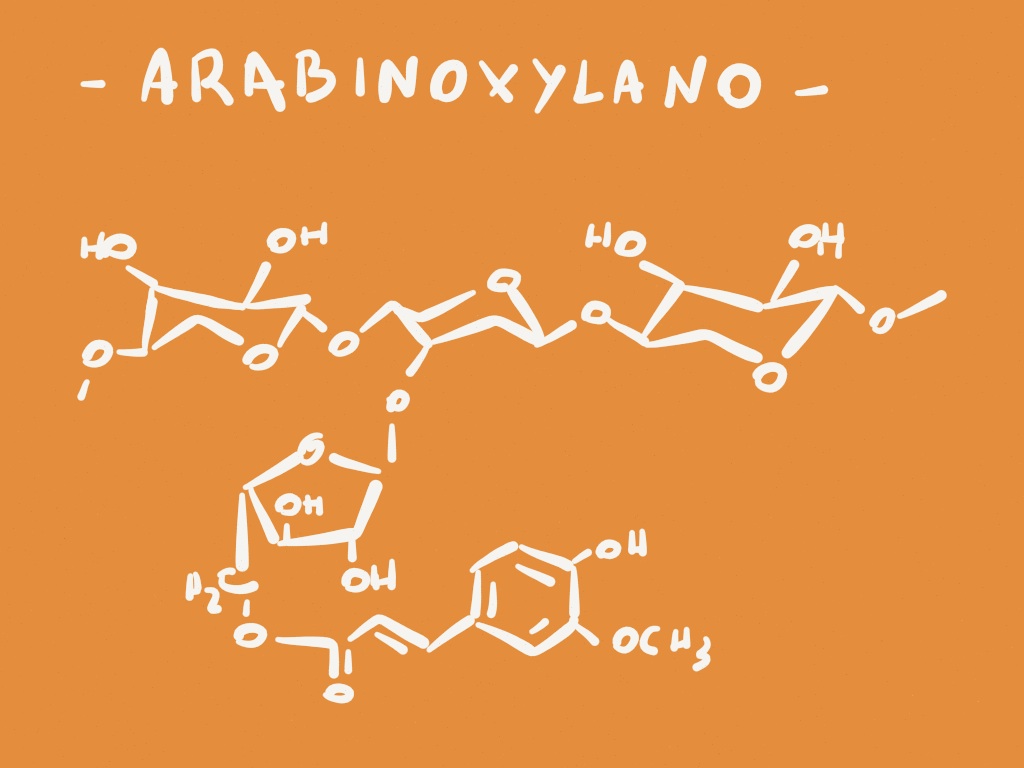 arabinoxylano