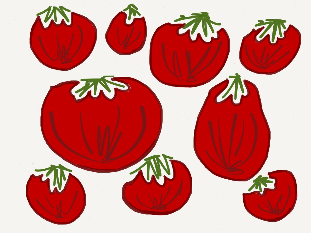 pomodori essiccati