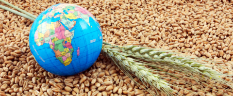 climate change global food