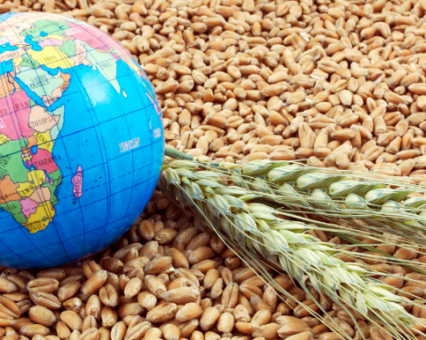 climate change global food