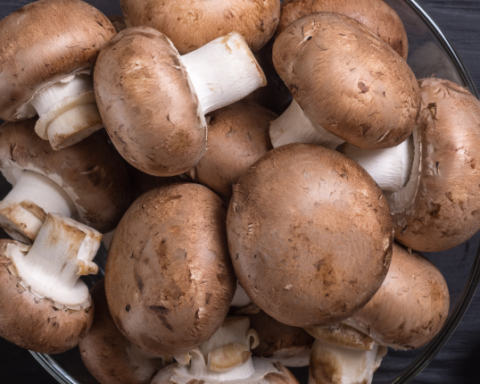 mushroom consumption