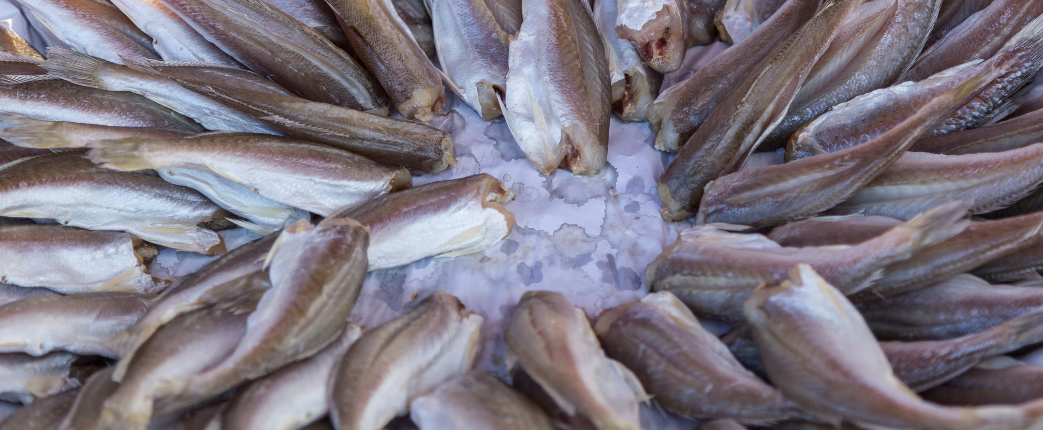 seafood byproducts